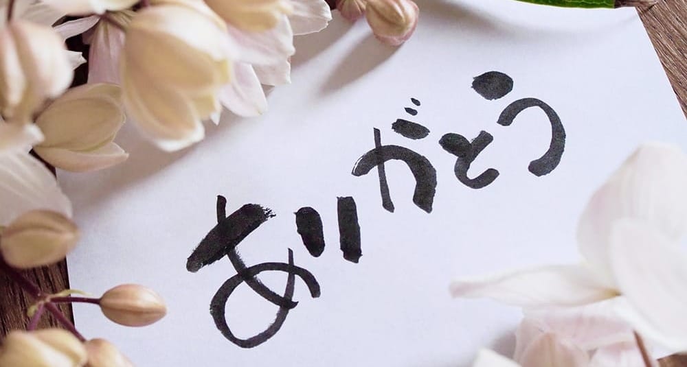 Why ‘Arigatou’ Matters More Than You Realise
