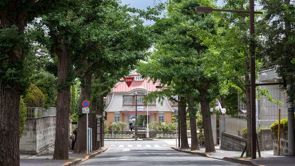 In the Silence of Ivy: Tokyo’s Old Money Neighborhoods